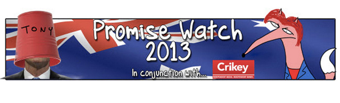 PromiseWatch 2013 banner