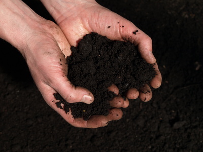 handful of soil, photo © Kasia Bialasiewicz - Fotolia.com