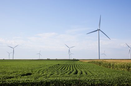 A wind farm among green paddocks