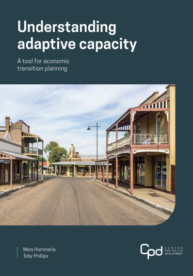 Adaptive Capacity Cover Image